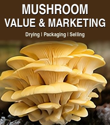Mushroom Value Addition & Marketing guide cover