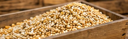Grain feed