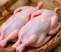 Dressed guinea fowl