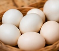 Guinea fowl table eggs