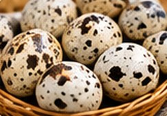 Quail eggs
